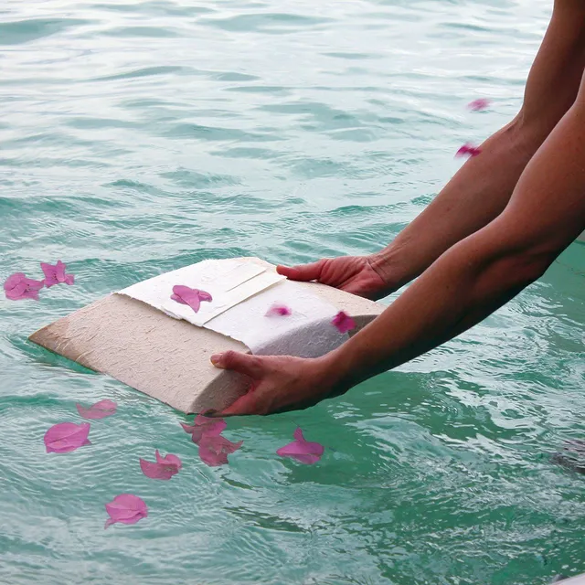 WHITE ROSE AQUA CREMATION 