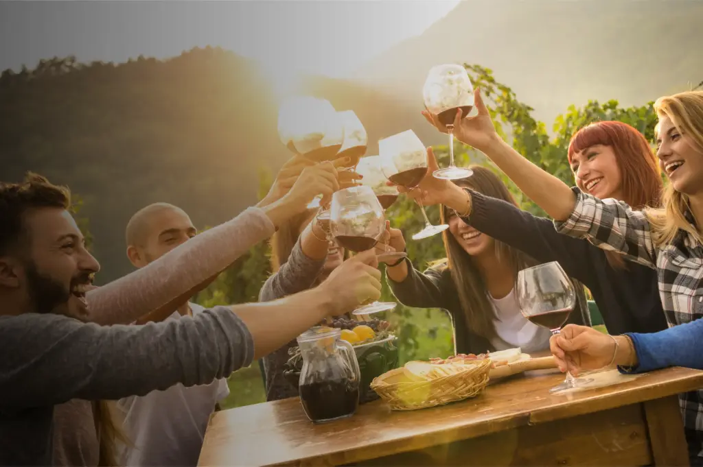 RAMONA VALLEY VINEYARD ASSOCIATION