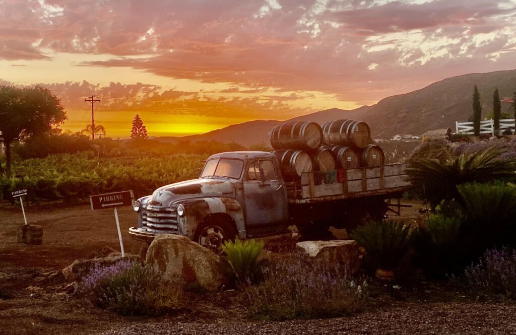 Rustic Ridge Vineyards