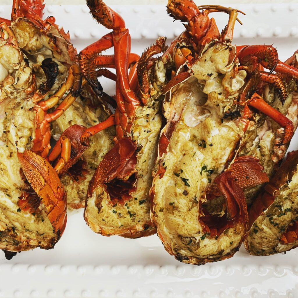 Reconsidering the Spiny Lobster