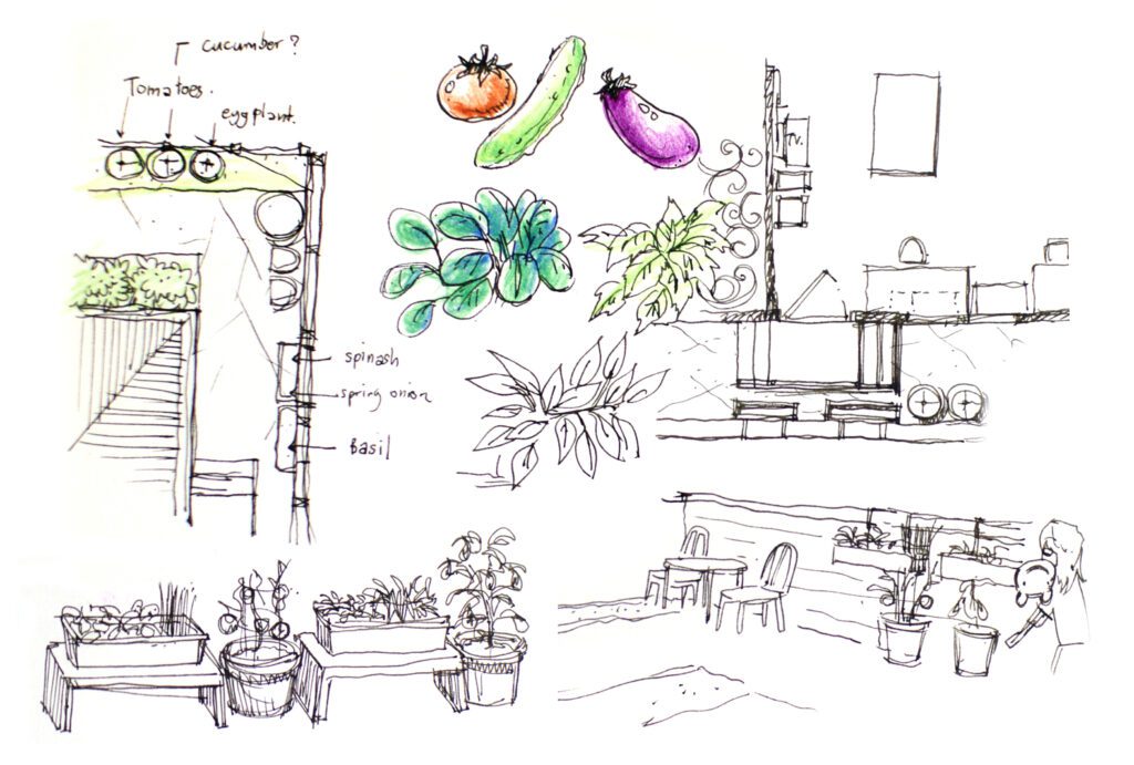 How to Start Your Raised Bed Garden in Seven Steps