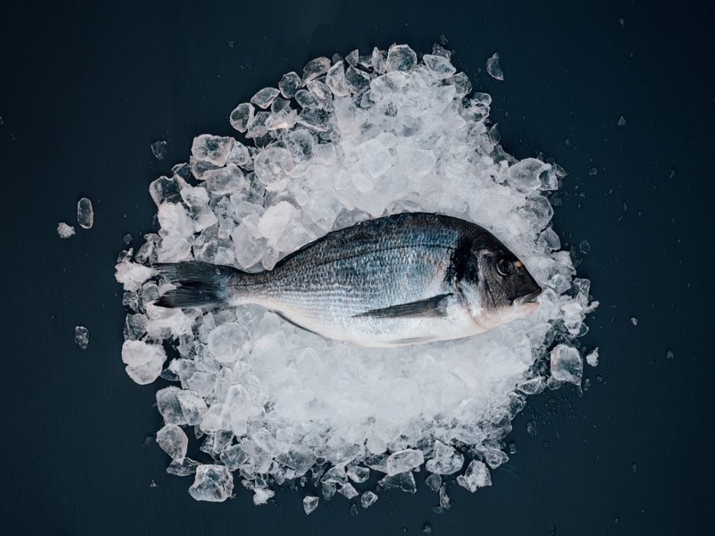 It’s Hard to Find a Local Catch at San Diego Seafood Restaurants