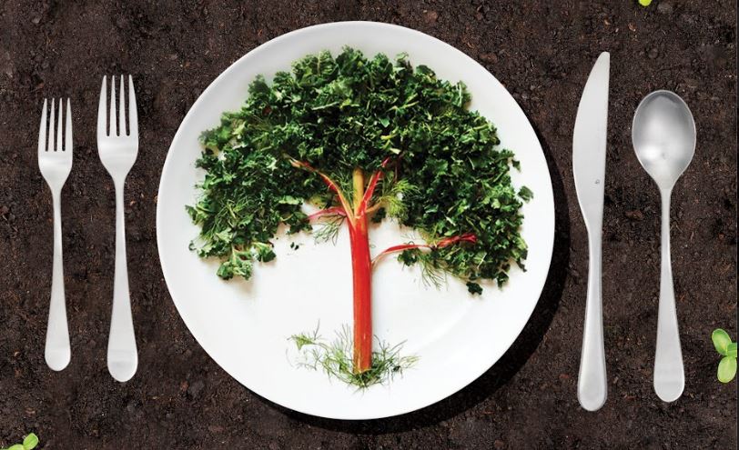 Edible Bookshelf: Why Everyone Should Read “Kiss the Ground”