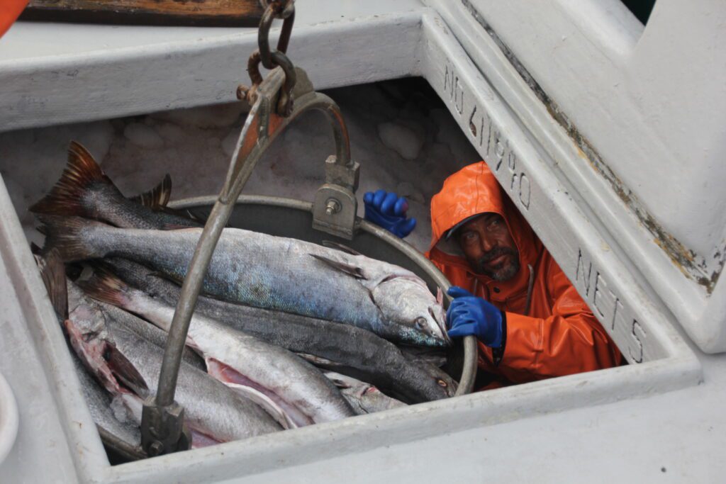 The Challenges of Buying Sustainable Seafood in San Diego County