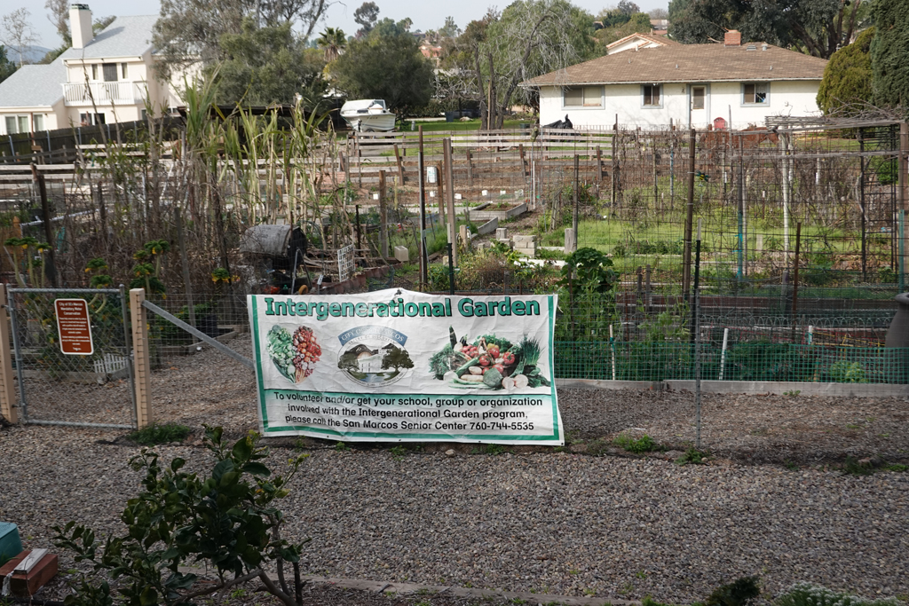 Seniors & Special Needs Students Cultivate More Than Plants in the San Marcos Intergenerational Garden