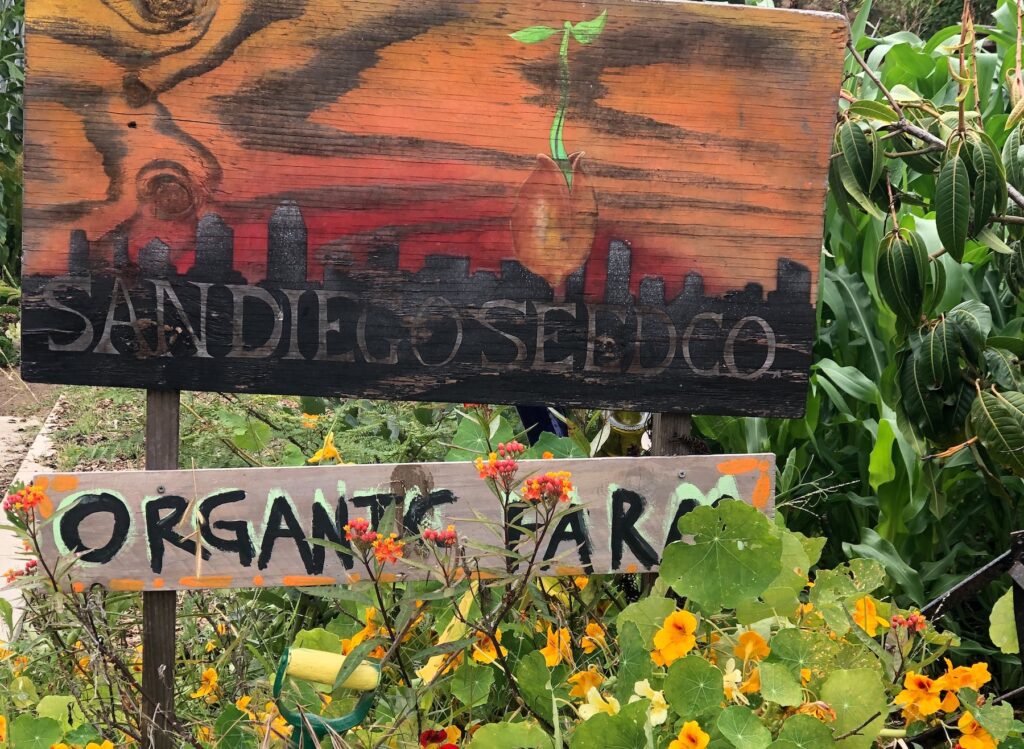 San Diego Grown: San Diego Seed Company and the Importance of Sourcing Local Seeds