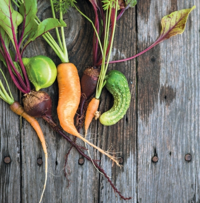 Grow It: Fall Planting Tips