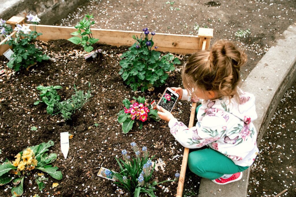 How to Maximize Space in Your Raised Bed Garden