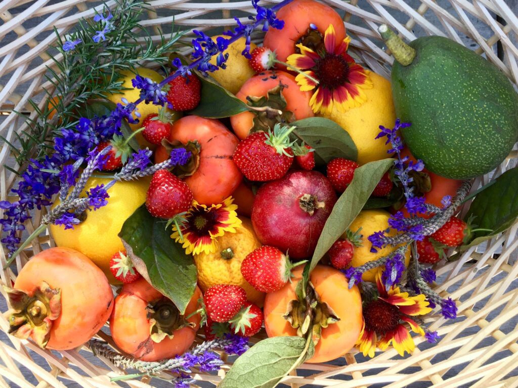 How to Start a Little Free Garden in San Diego County