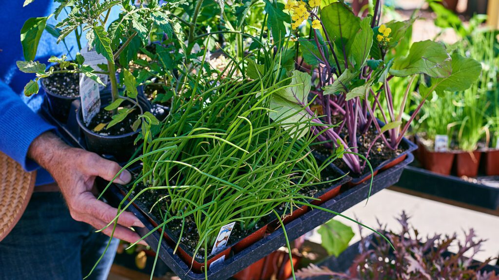 Grangetto’s Farm and Garden Supply