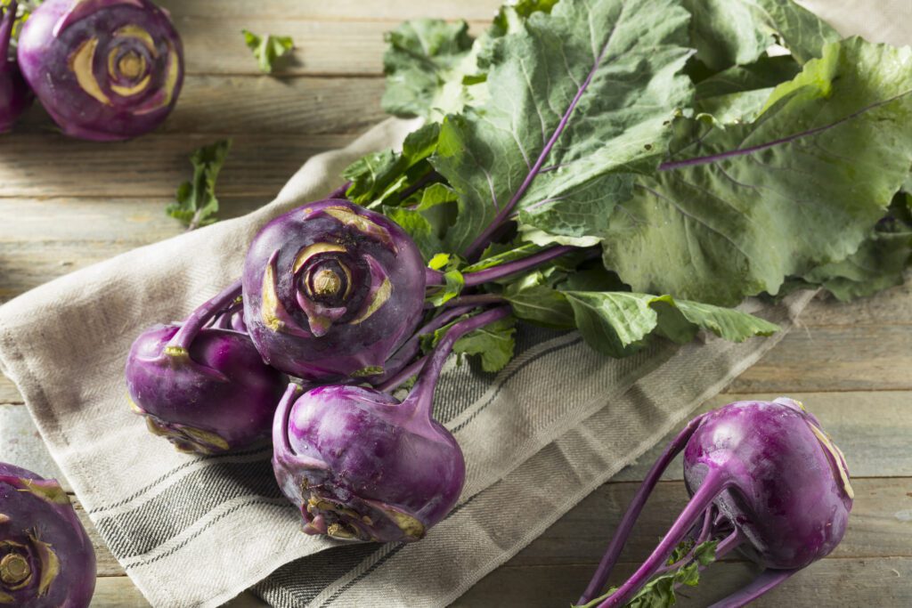How to Grow Winter Kohlrabi in San Diego County