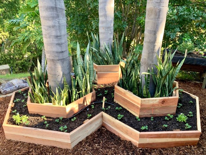 Beginner’s Guide to Vegetable Gardens: Raised Beds vs. In-Ground Beds