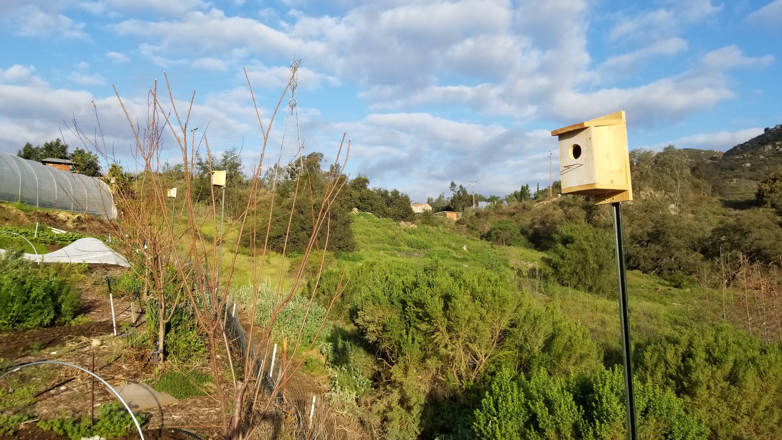 image_4