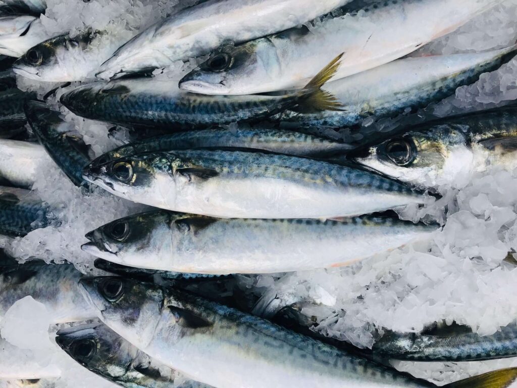 Recognizing a Fishing Community Hero