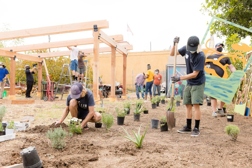 The Little Food Magazine That Could