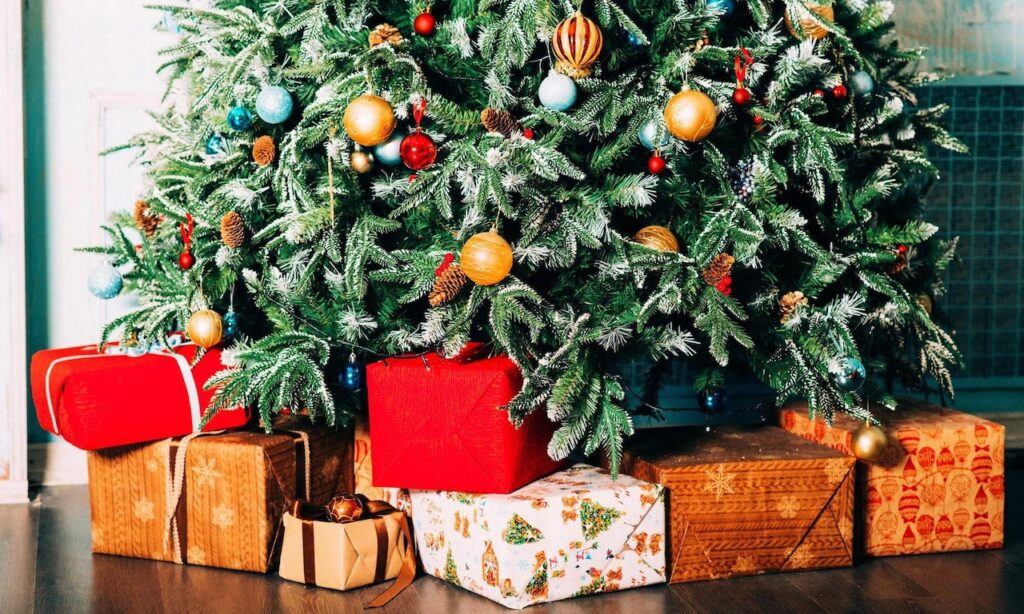 Holiday Gift Guide for Garden Lovers