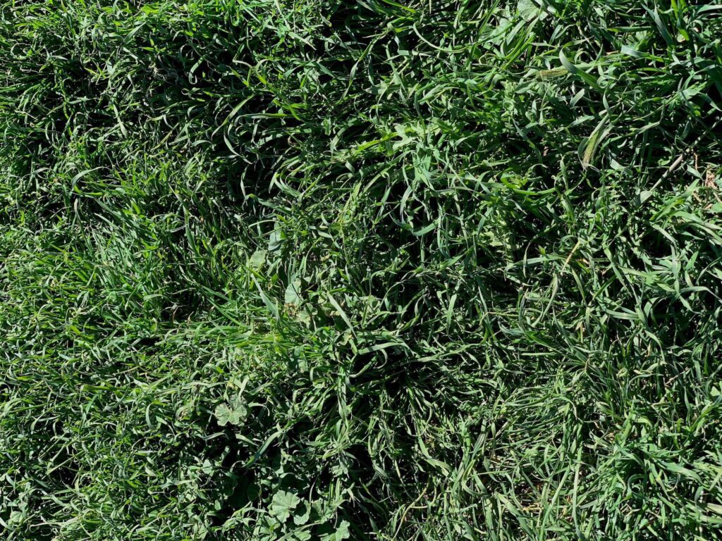 This Land We Live On and Depend On