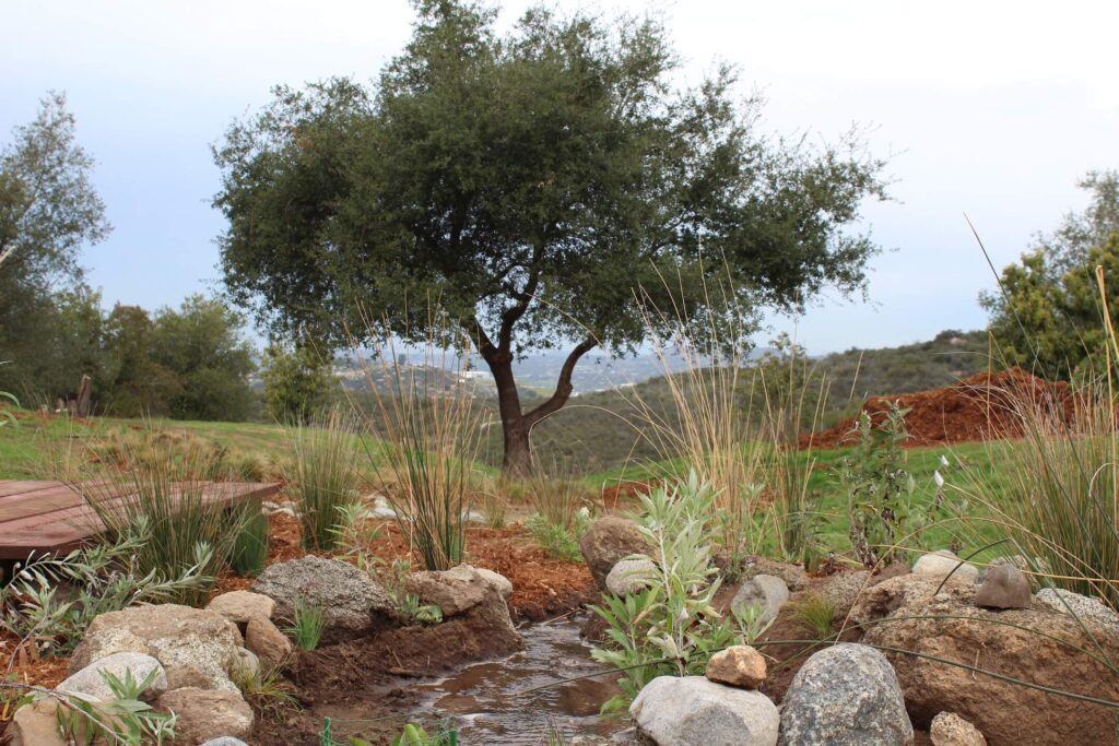 Traditional Knowledge and Innovative Leadership