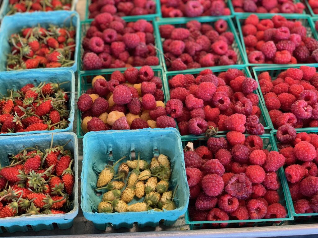 What a Centenarian Eats