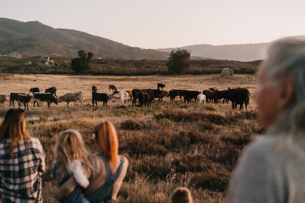 Where the Green Grass Grows