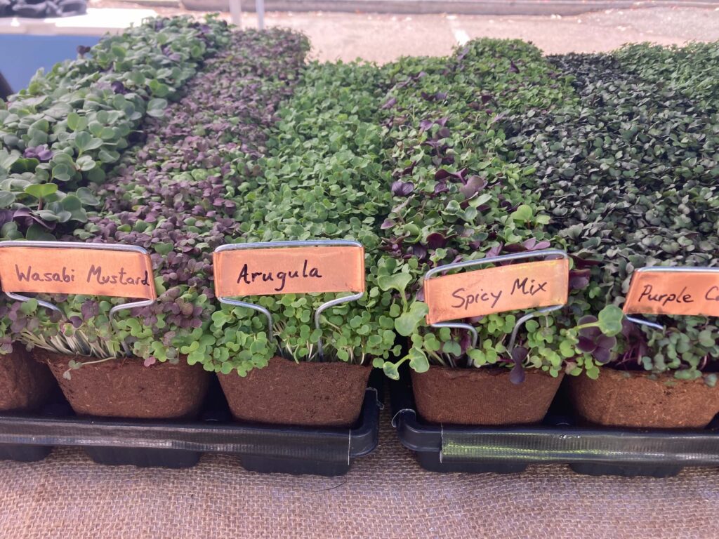 Market Explorer: Cardiff Certified Farmers’ Market