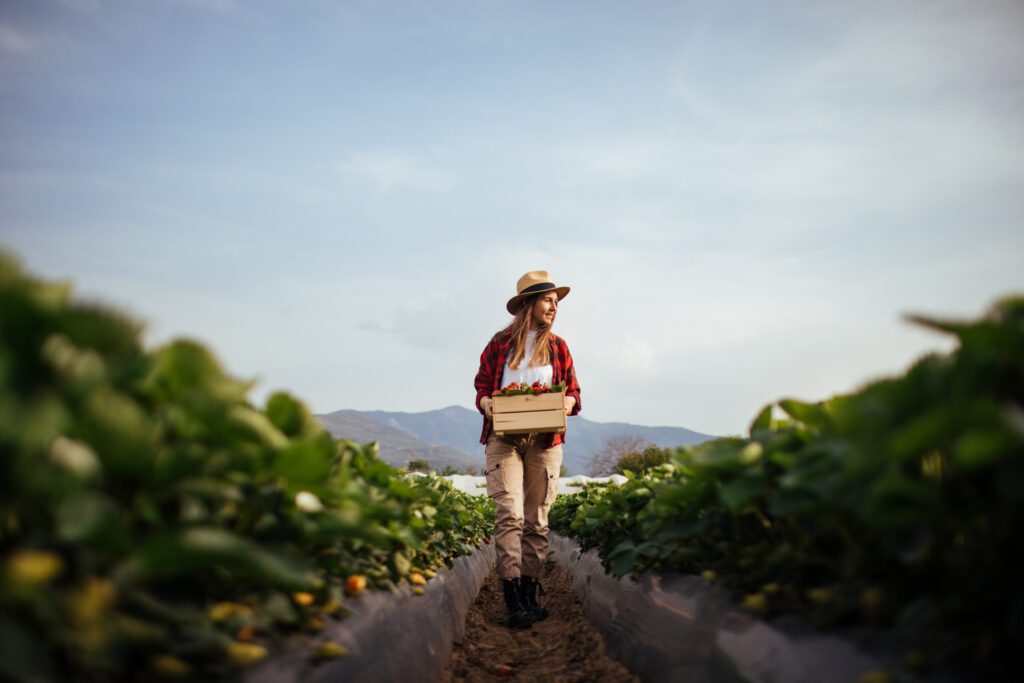 Becoming an Agritourist