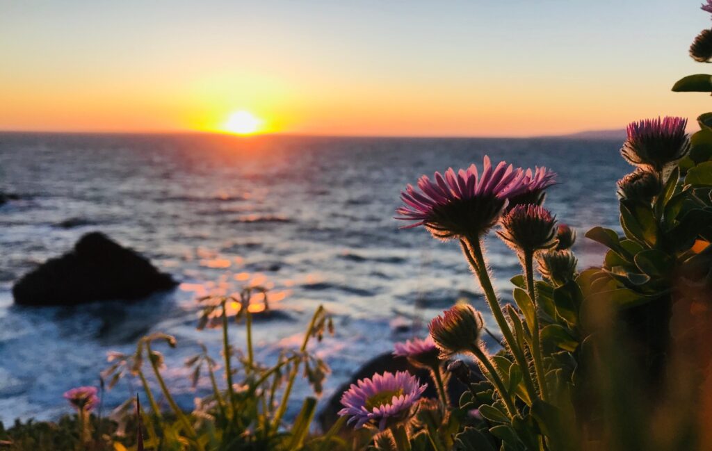 How to Have a Delicious Summer