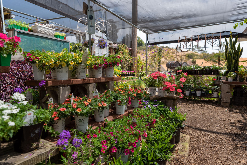 You’re Invited to a Fall Party at City Farmers Nursery