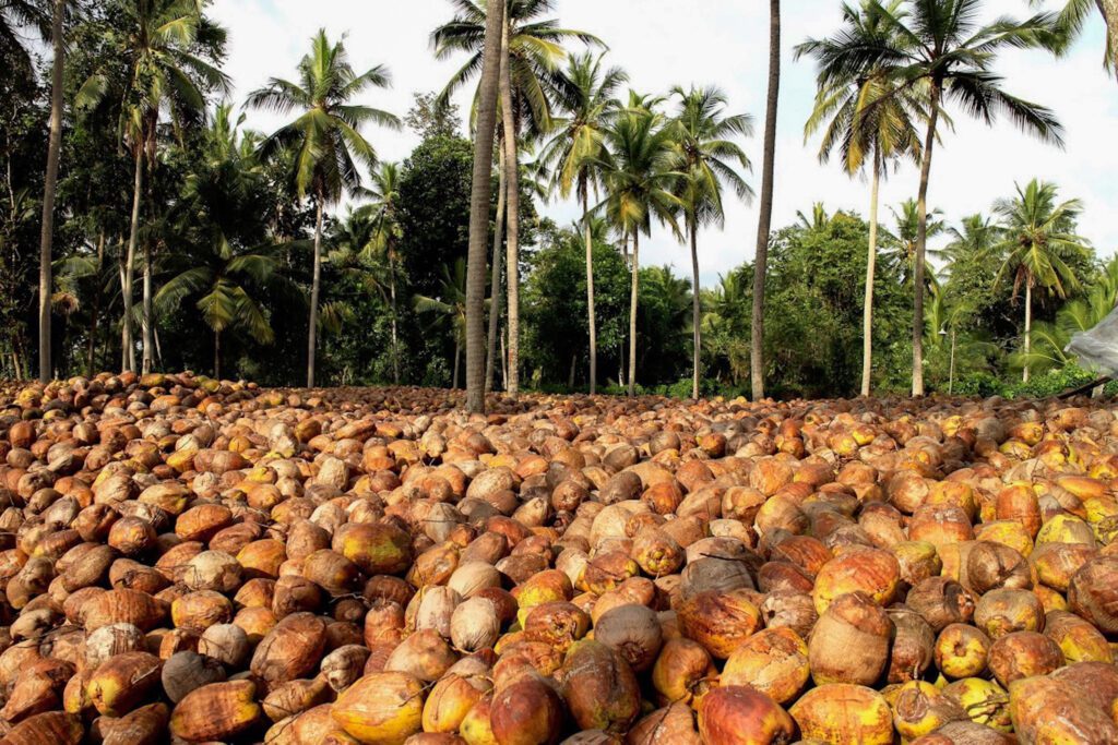 Intentionally Regenerative