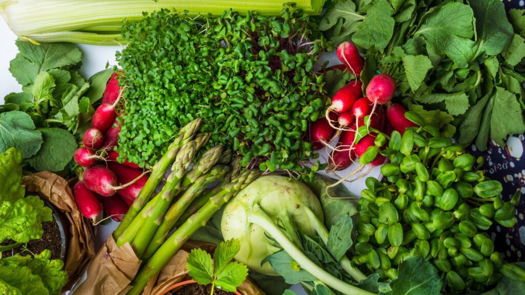 CSA Boxes for Spring