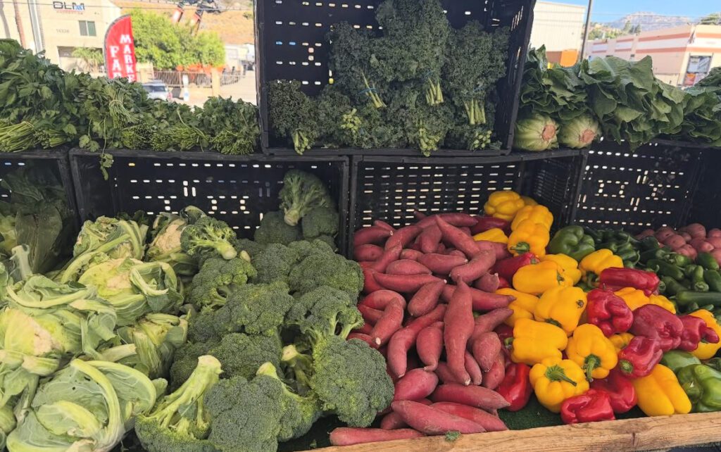 Ramona Grange Growers