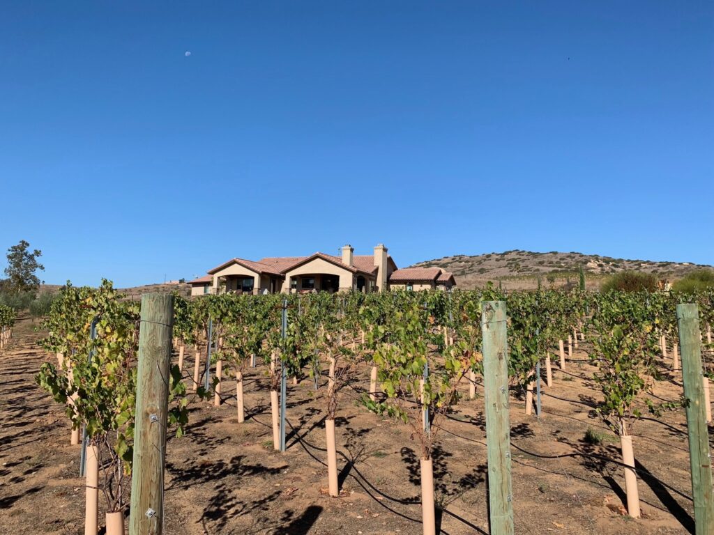 Bastian’s Vineyards