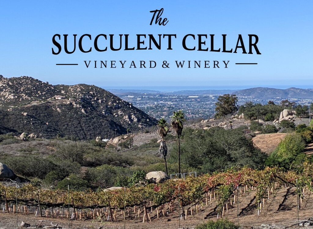 Succulent Cellar