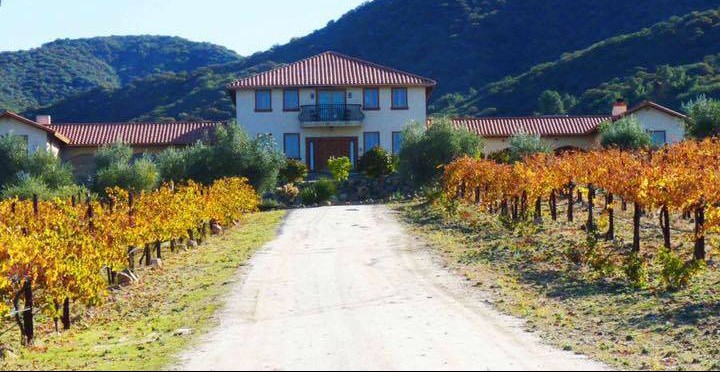 La Serenissima Vineyard & Winery
