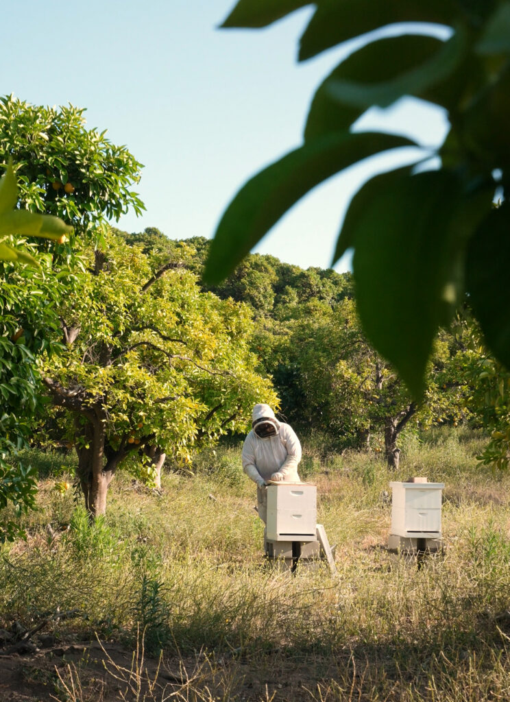 A Higher Standard for Honey