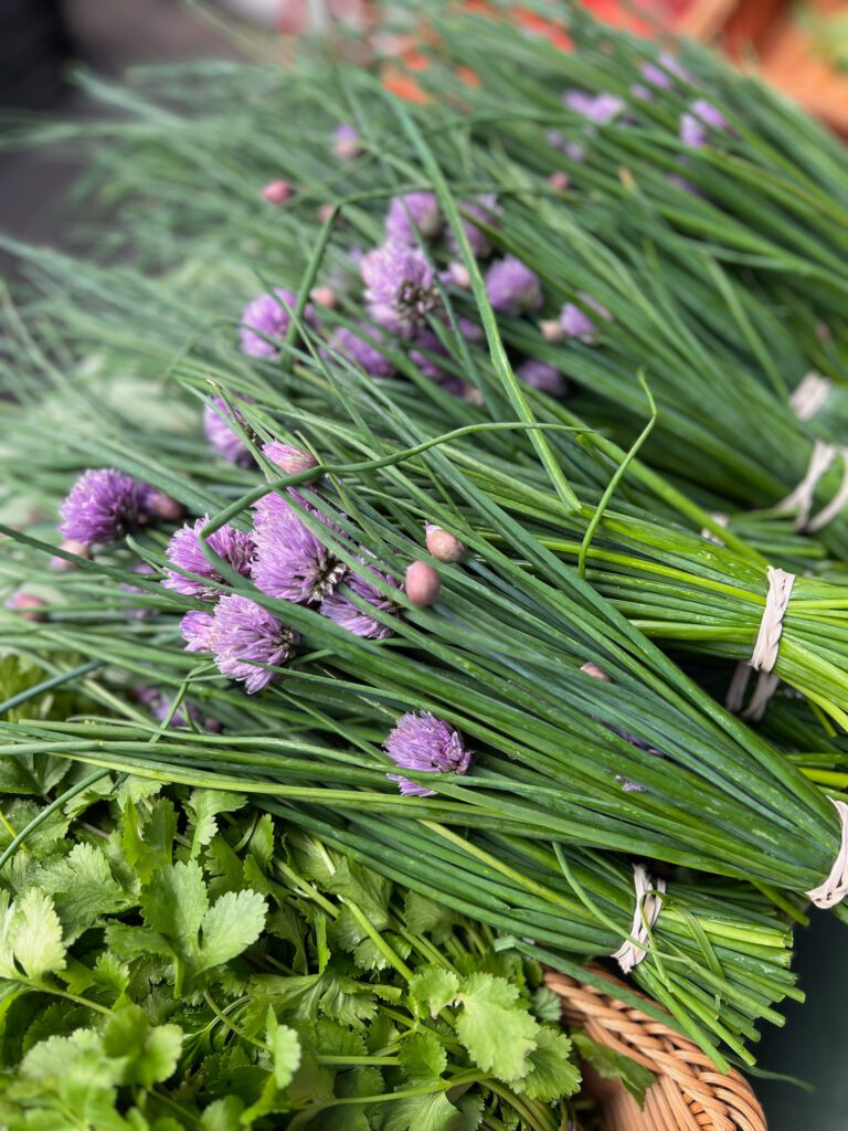 MARKET EXPLORER: Cellar Hand Shops the Hillcrest Farmers’ Market