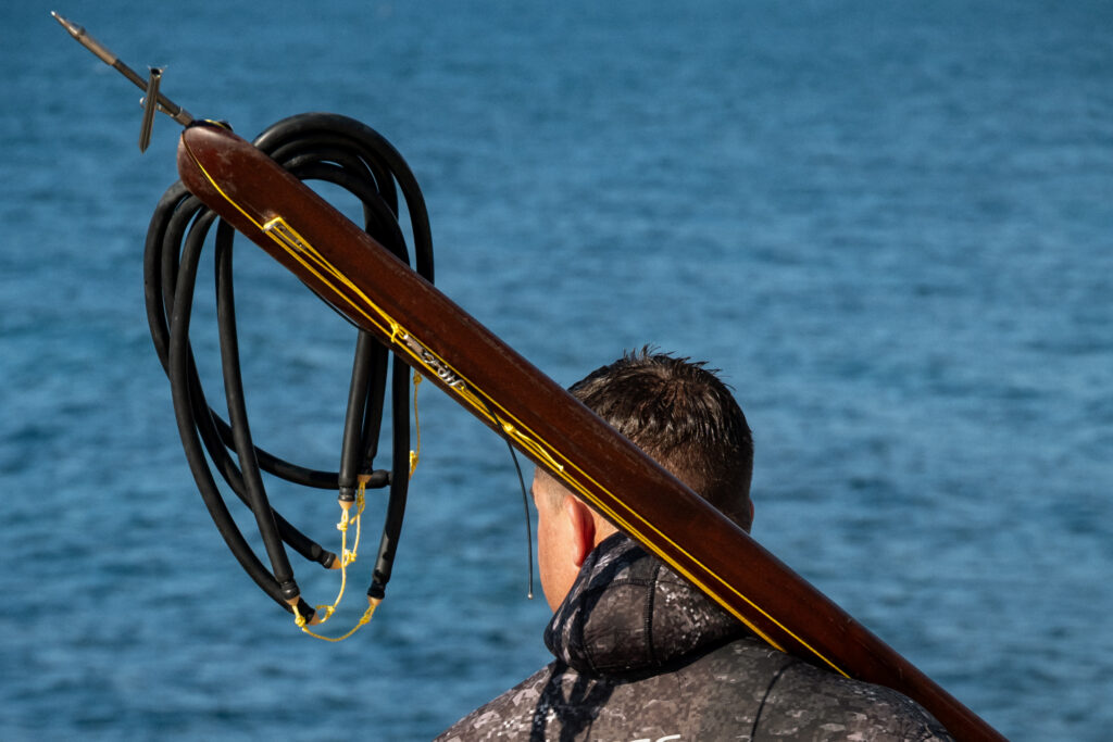To Spear a Fish